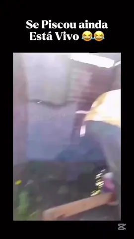 Piscou tá VIVO!!!