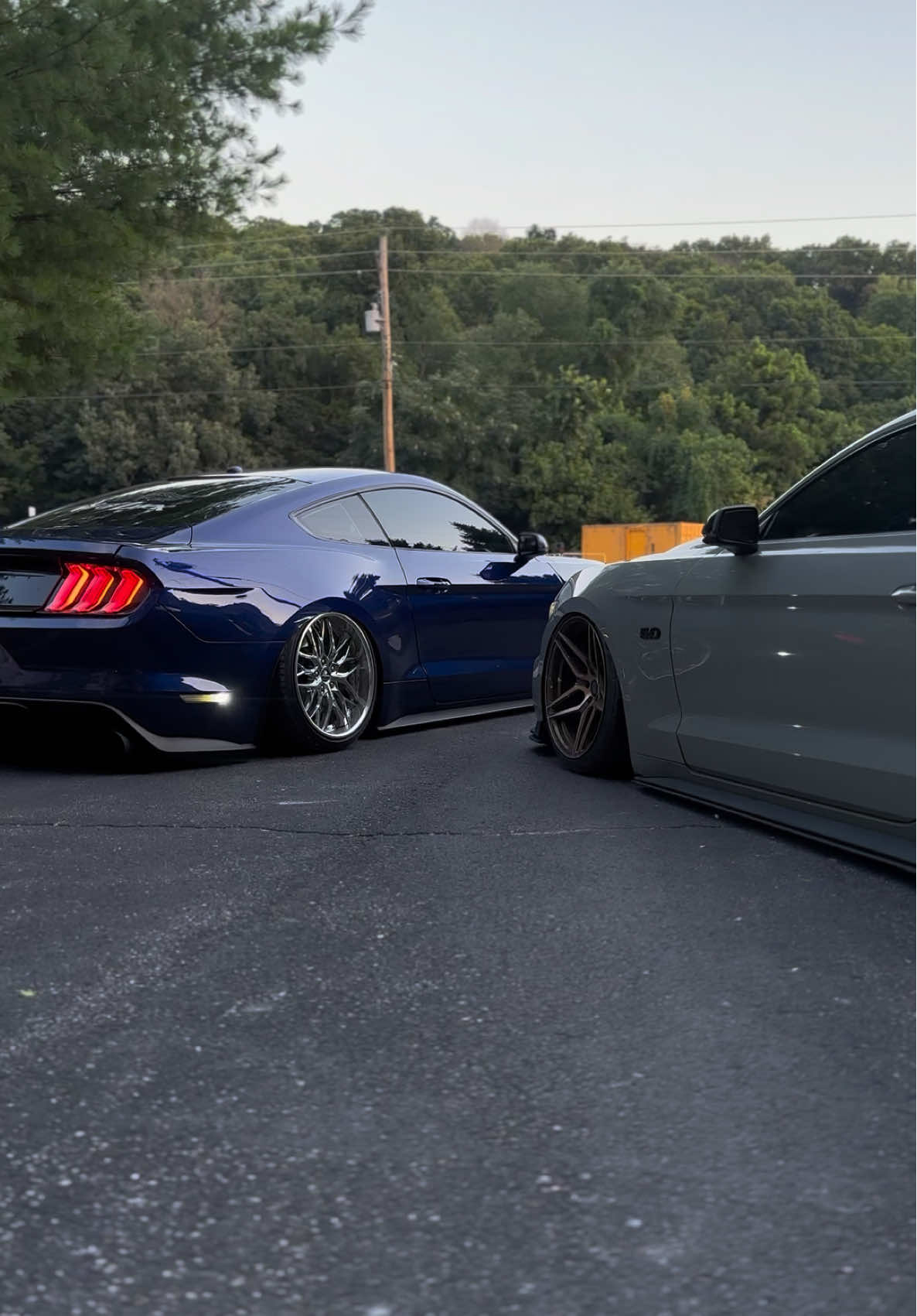 Lemme bless your eyes and ears #fyp #cars #boys #bagged #mustang 