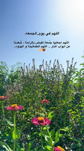 #اللهم_امين #یارب_العالمیــــــــــن🤲🏻🥺 