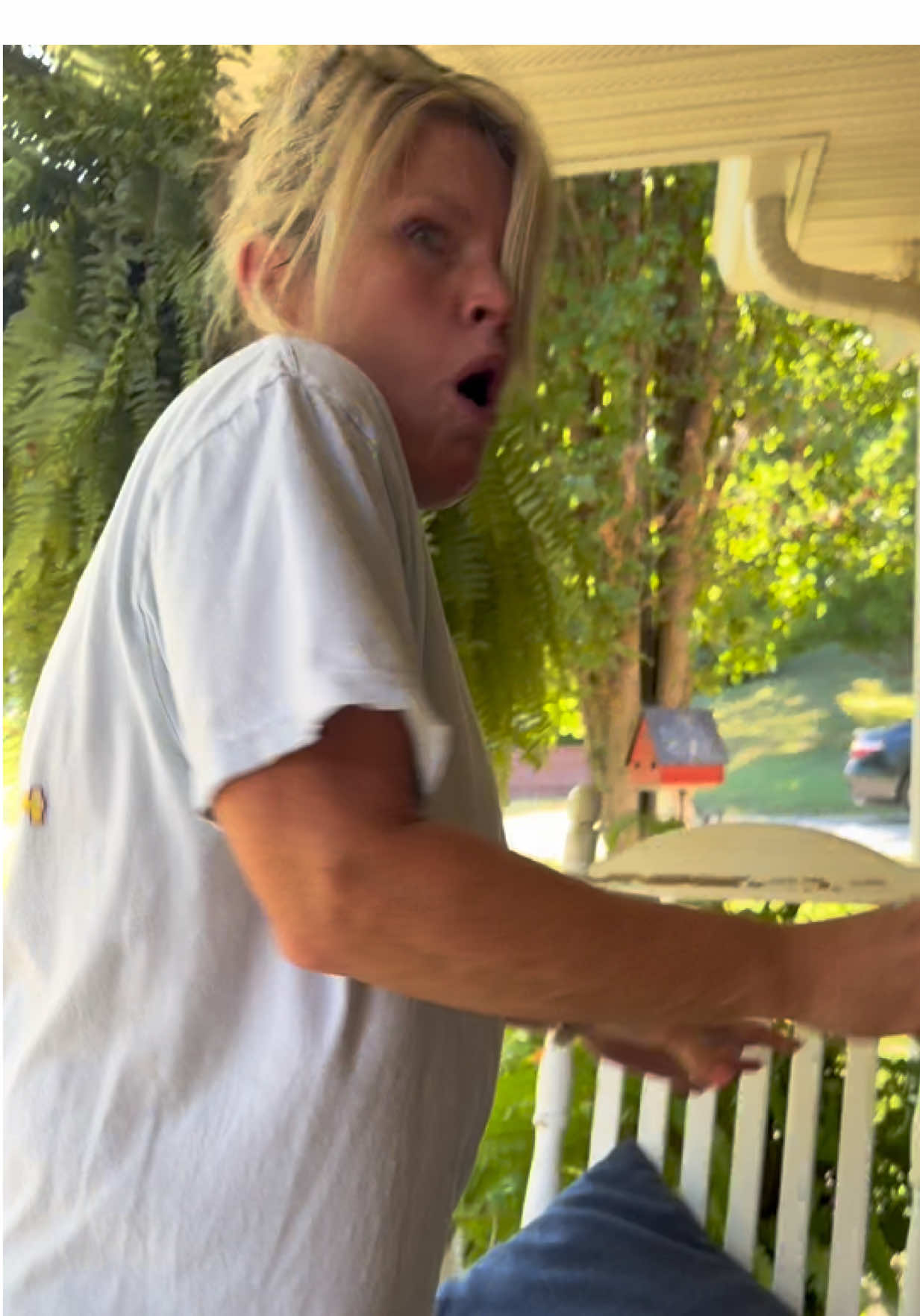Got her! #foryoupage #fyp #wasp #scareprank 