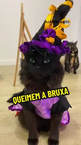 Queimem a bruxa 🧙 #bruxa #pobre #rico 