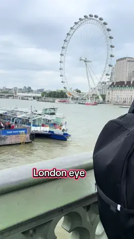 #londoneye#westminsterabbey #primeminsterhouse#foryoupage❤️❤️ #england 