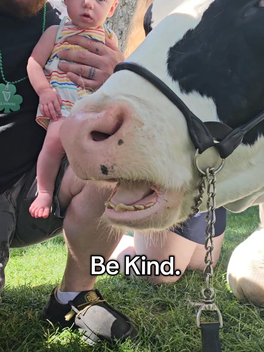 🫶 I feel so blessed to have had such impact and bring joy to my local community and all of you!!! #guccithecow #fyp #iowa #bekind #Love 