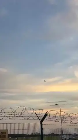 Pilot, który zginął dzisiaj w wypadku lotniczym samolotu F-16 to major Maciej Krakowian 
