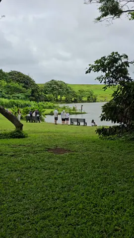 😍😍 #foryou  #foryoupage  #naturevibes  #beautifulview  #green 