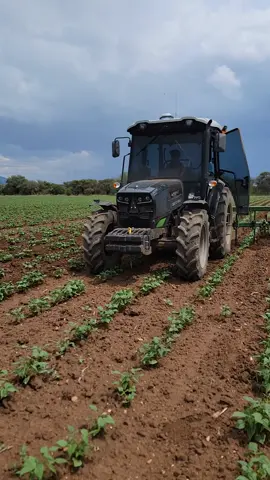 el potrillo andaba bien apuntado  #agricultura #campo #tractor 