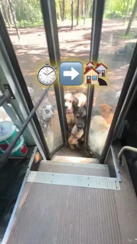 ⏱️➡️🏘️