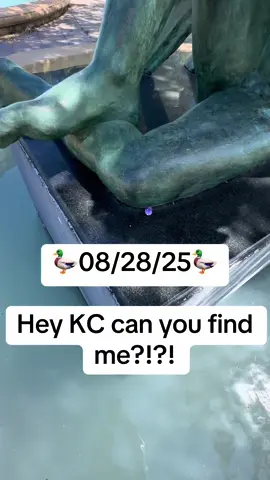 🦆 #kansascity #fyp #dukc #homeless #pp 