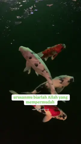 Yang kita tanam, inshaallah itu yang kita panen #quotes #motivation #taburtuai 