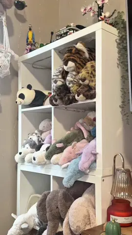 Jelly cat Leola bear release rant #jellycat 