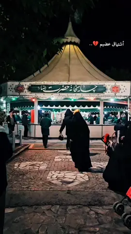 ياأنيس النفوس ❤🤲🏼..  #مشهد #الامام_الرضا_عليه_السلام ..  ِ ِ ِ ِ ِ #هاشتاقات_تيك_توك_العرب  #capcutvelocity  #الشعب_الصيني_ماله_حل😂😂 