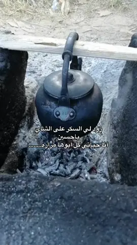 #زود لي السكر على الشاي ياحسين#شعبيات #الفن_الاصيل #foryou #إكسبلوررررررر_explore 