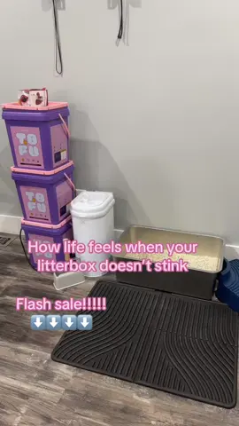FLASH SALE TODAY!!!! #tofu #tofucatlitter #flashsale #pets #PetsOfTikTok 