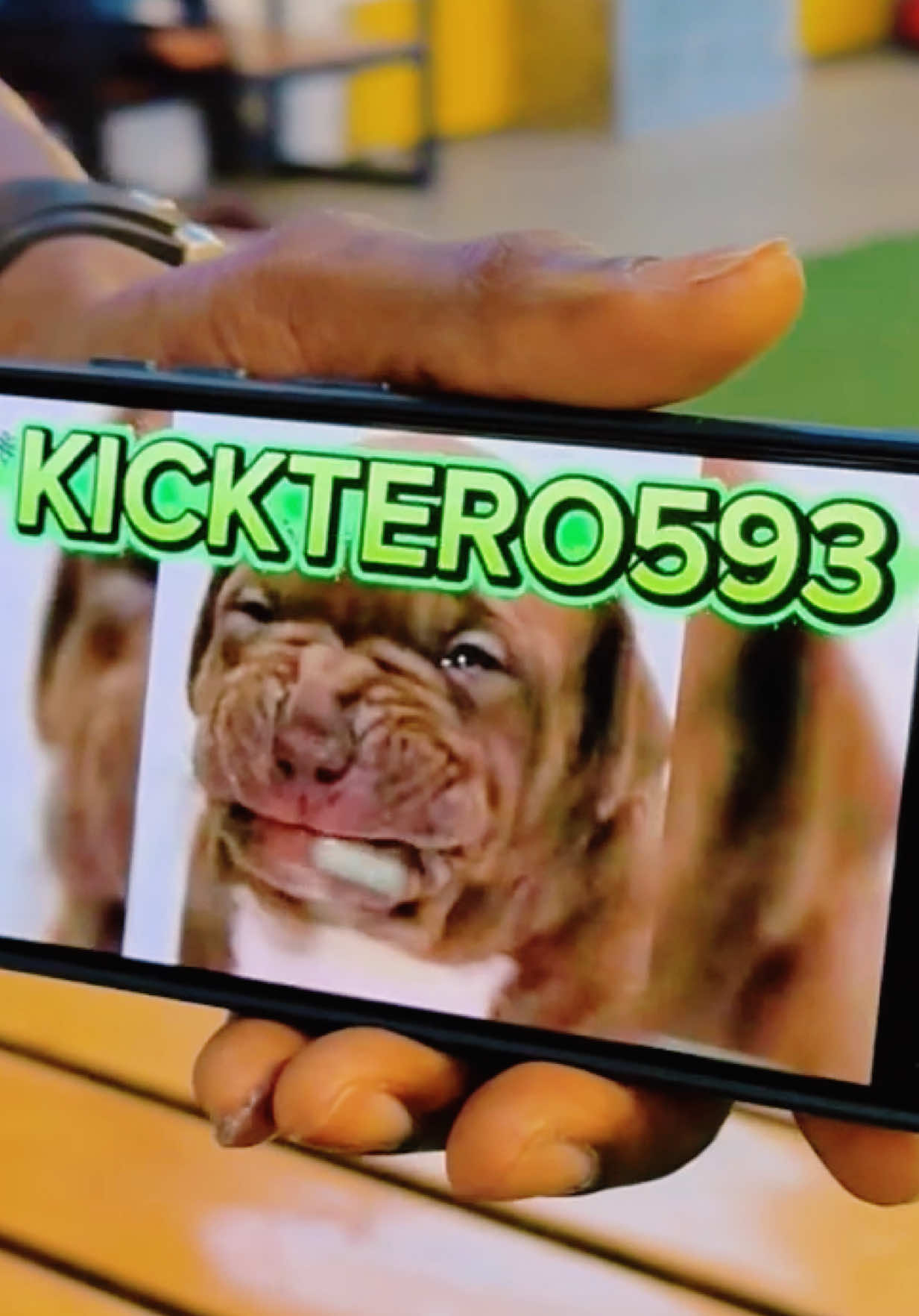 Kick: KICKTERO593 sigan mis canales Oficiales y mantengan la Sintonía #viraltiktok #fyp #kick #sfq 