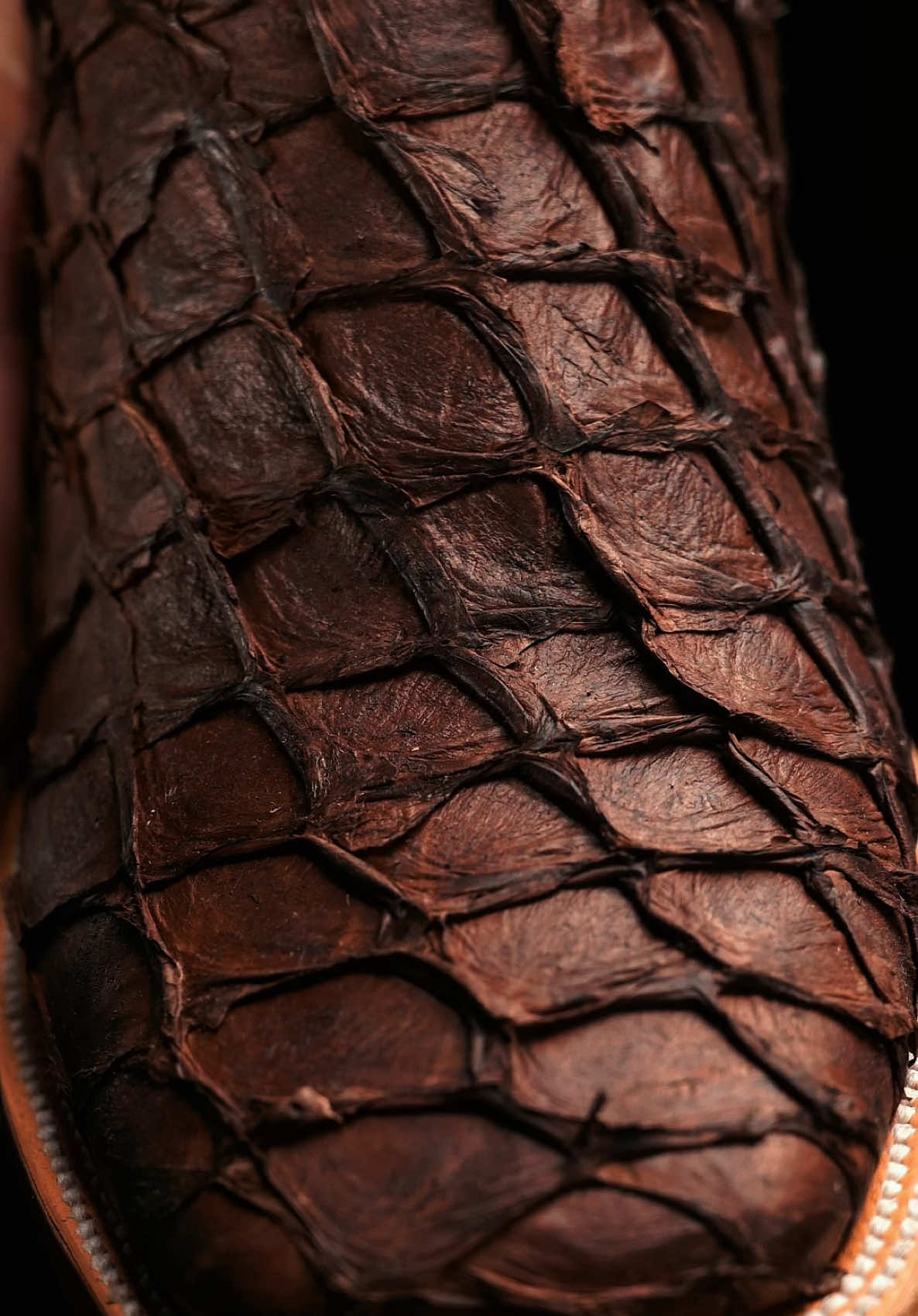 NO COMPETITION😉 100% AUTHENTIC Pirarucu Skin Boots ONLY $249🐠🔥 #alfawesternwear #cowboyboots #botasvaqueras #pirarucu 