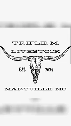 Cadillac kind 😎😎 #midwestmoodogmafia #largecarmafia #nocoastlargecars #FYP #missouritiktok @midwestmoocowmafia @caponemoocowmafia 