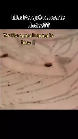 #Recuerdos 