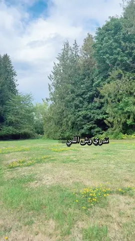 🫶🤲  ‏الحمد لله دائما وأبدا 🫶🤲