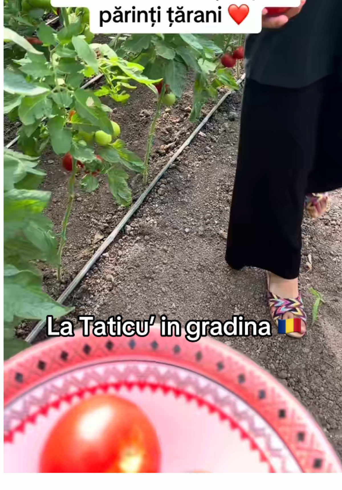 🇷🇴