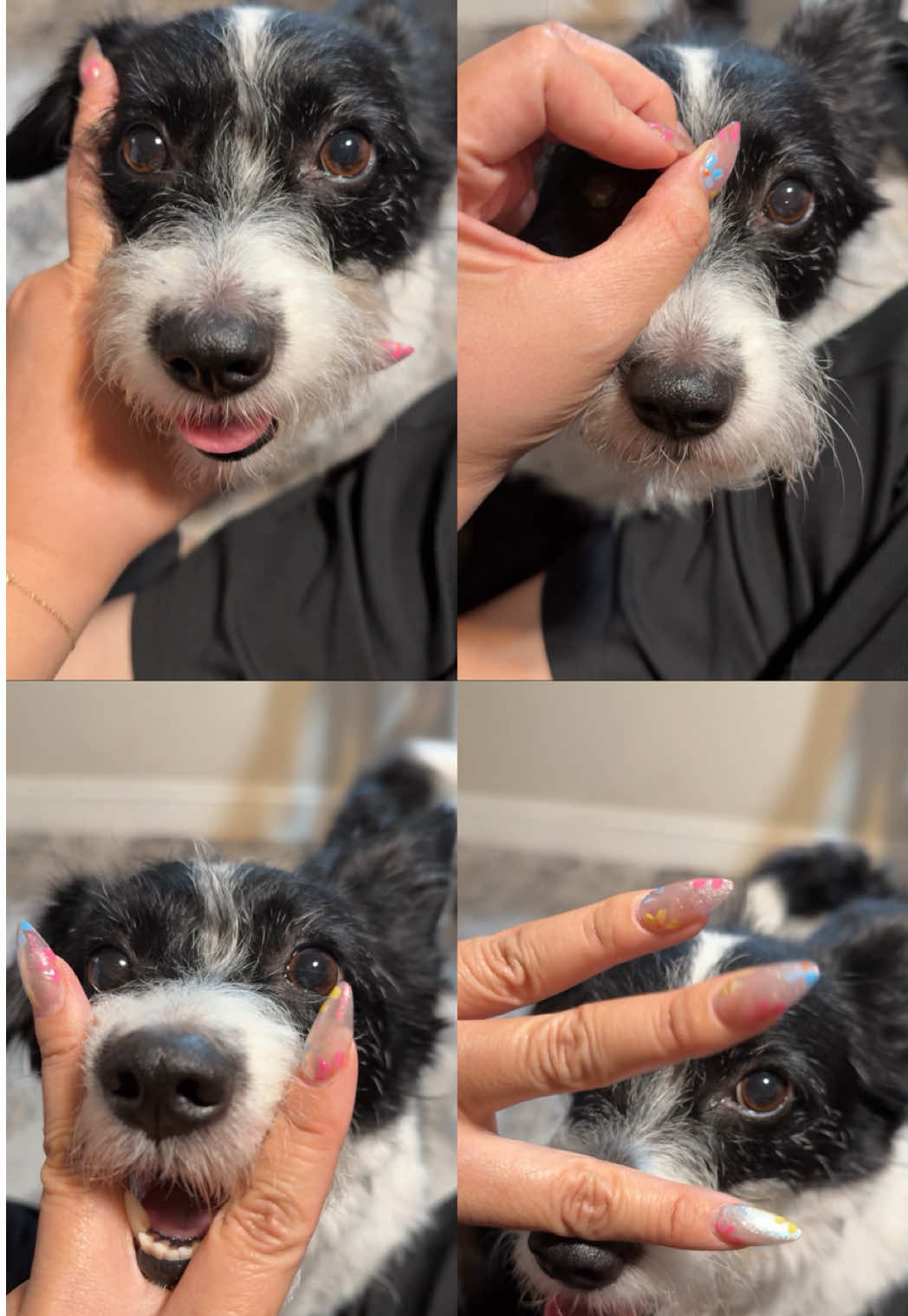 We’ve done this trend twice already but it’s trending again and it’s just too cute not to do it. Had to get up close and personal to show my mom the love.  #trend #dogtrend #Love #doglover #cute 