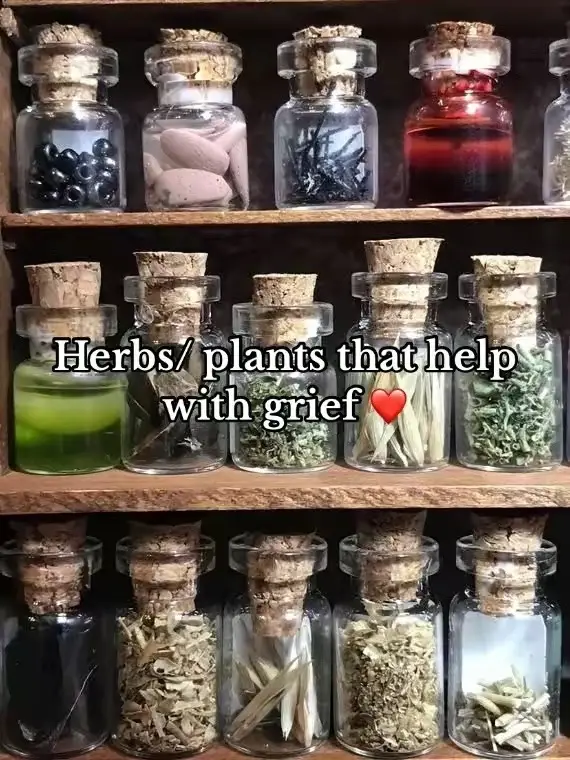 #grief #herbs #witchcraft #witchtok 