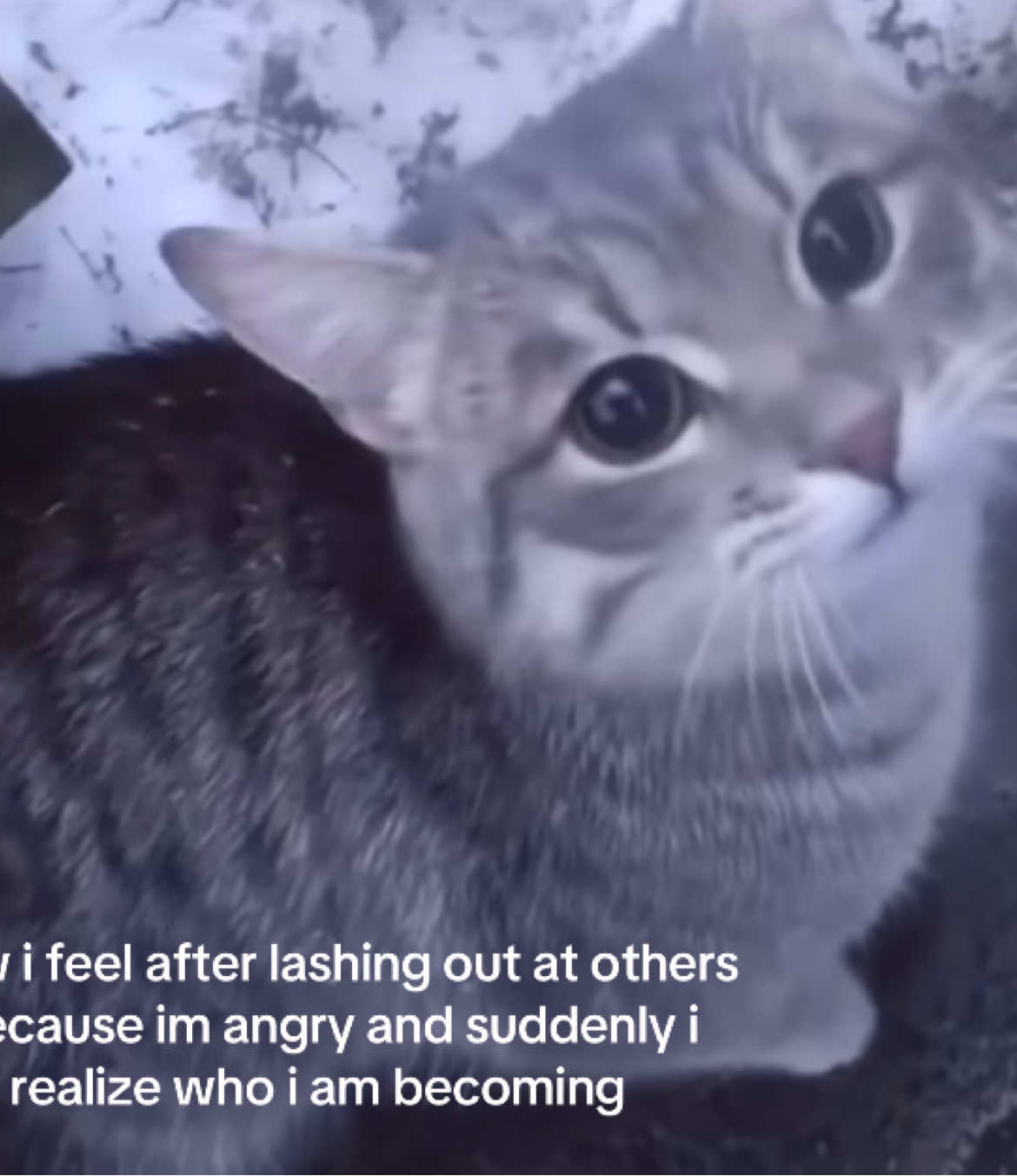 my mother #mentalhealthmatters #vent #goviral #cat 
