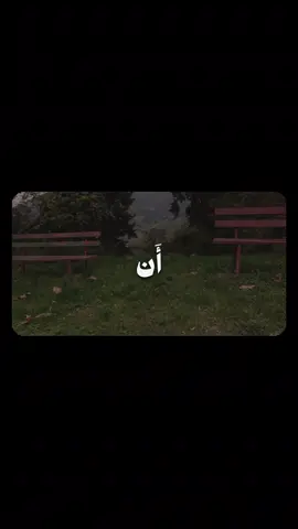 علي جابر 🤍🤍، عَسى رَبُّنا أَن يُبدِلَنا خَيرًا مِنها إِنّا إِلى رَبِّنا راغِبونَ [القلم: ٣٢]  #قران #علي_جاب #سورة_القلم #qoran #tillawat2 