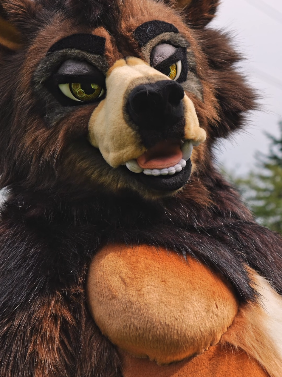 Mama bear! This fullsuit is now up for sale via our telegram channel! we will be taking bids until Monday, July 1st! Join for more info and more photos! https://t.me/MidnightMkrs #furryfandom #fursuitmaker #fursuit #furry #furries 