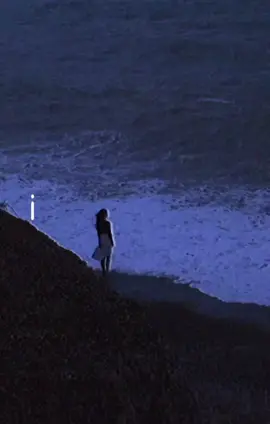 dealer - lana del rey #lanadelrey #dealerlanadelrey #bluebannisters #lyrics #lyricsvideo 