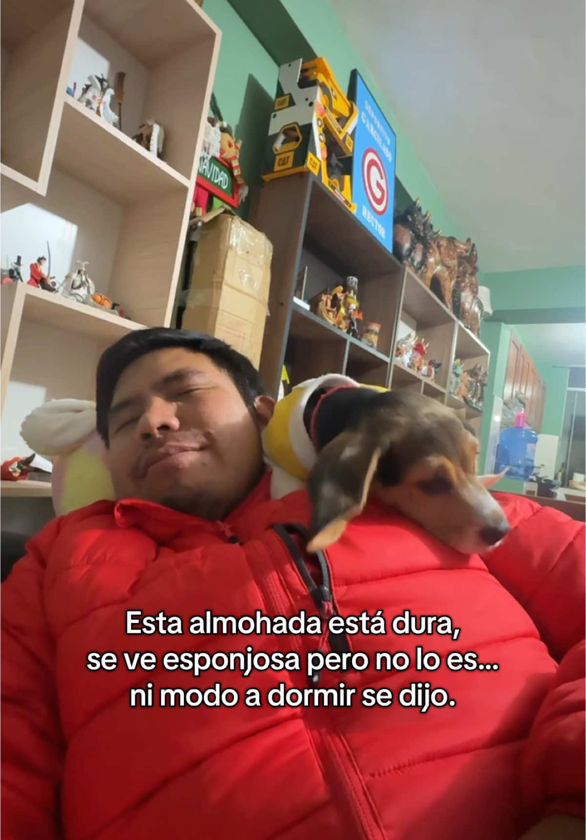 Día 27, Esta almohada está dura, se ve esponjosa pero no lo es… ni modo a dormir se dijo. #Pachaventuras #PachayHector #PachaLovers #pachalabeagle #DogLife #DogTravel #traveldog #dog #dogsoftiktok #doglove #mydog #doglover #PetsOfTikTok #ExplorandoCusco  #AventuraConPerro #recorriendoelmundo #viajarconperro #viajarporelmundo #beaglecusco #CuscoPets #cusco #peru #explore #fyp #foryou