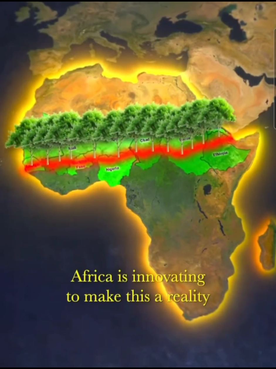 THE GREAT GREEN WALL #haveyouheard #africa #foryou #greenary#africabuildinghub 