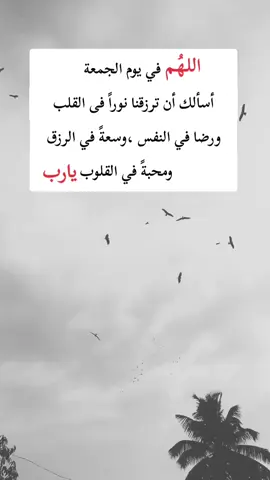 #اكسبلور 