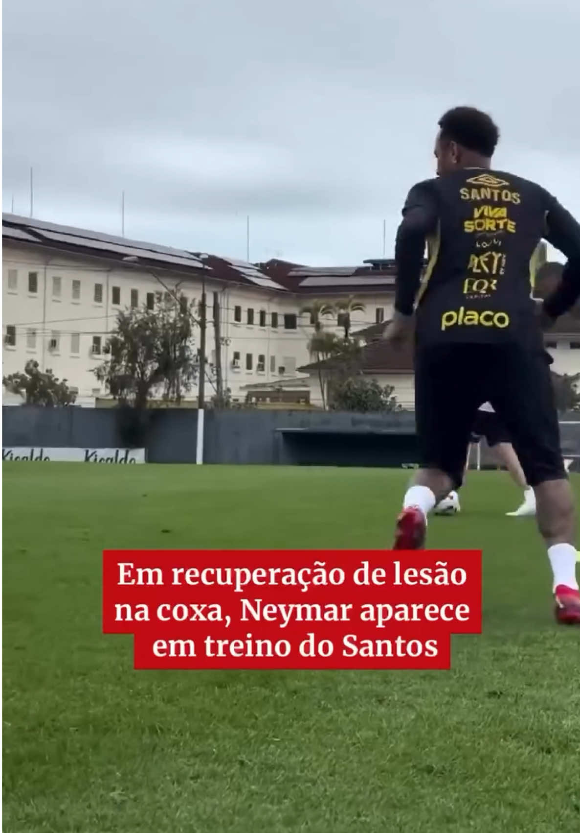 Camisa 10 do #Santos, #Neymar voltou a treinar com bola nesta quinta-feira (28/8). O Santos publicou nas redes sociais imagens do jogador participando de uma atividade no CT Rei #Pelé. Neymar se recupera de uma lesão na coxa. A presença do atacante no jogo do Santos contra o Fluminense ainda é incerta. #SportsNews 🎥 Santos FC 