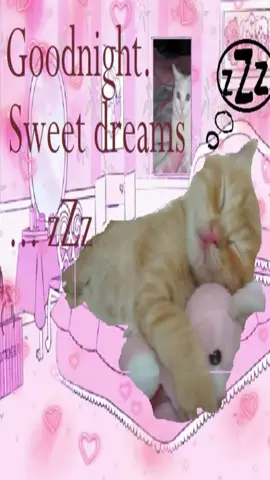 #fyp #goodnight #kitty #fypシ #xybzca 