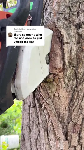 Replying to @Kyle Hauswirth #fypシ #stihl #treehugger #arborist 