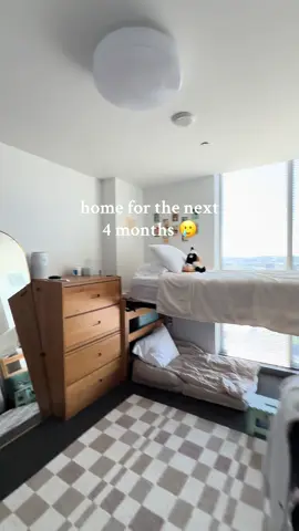 would do anything for a first class flight back to my real home rn 🥲 #Home #college #dorm #collegemovein #boston 