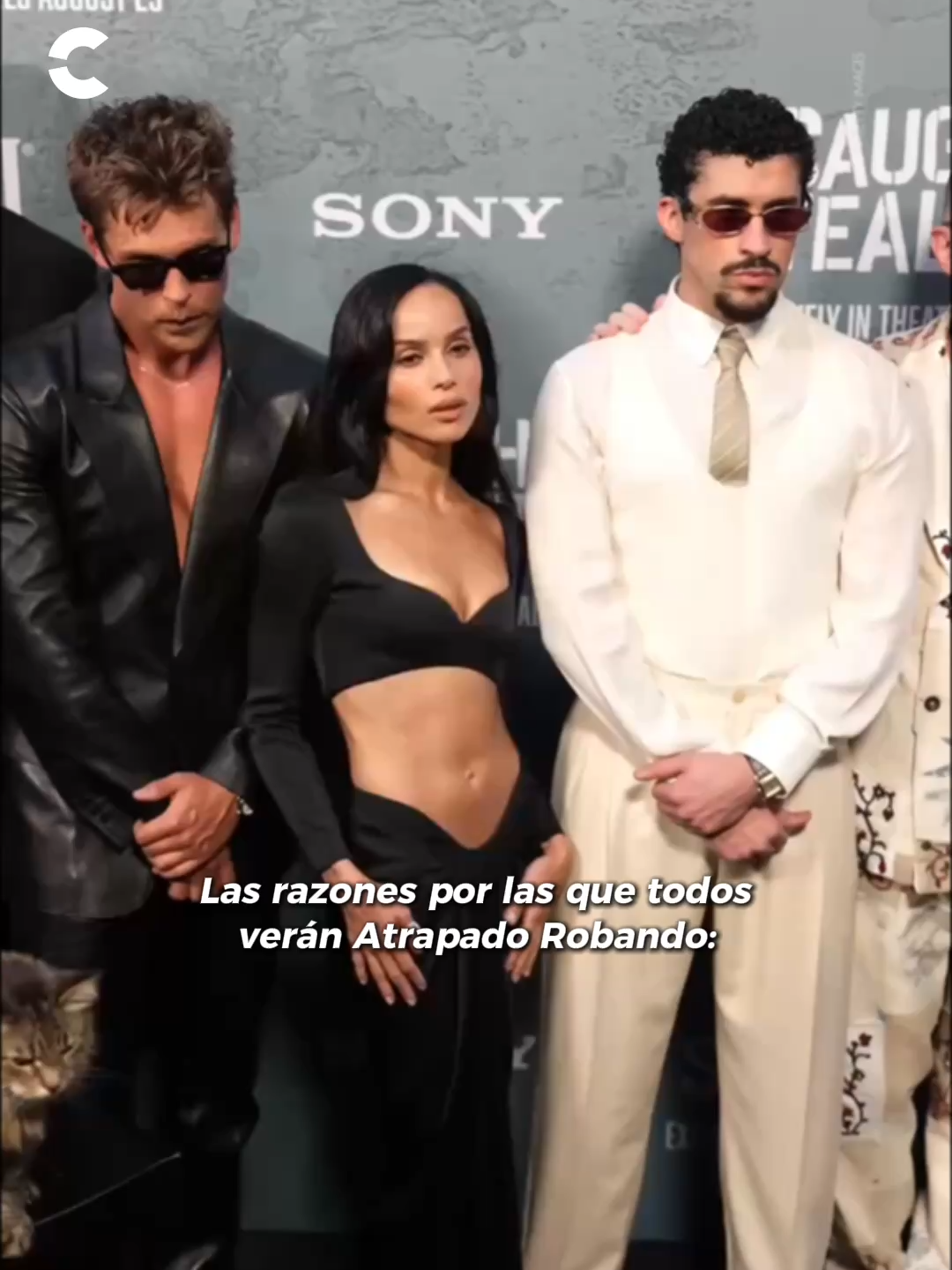 ¡Obvio que Zoë y Austin tienen todo mi amor! Pero ese gatito ya fue “Atrapado Robando”, ¡mi corazón! 🐈‍⬛😍✨ #cine #cinépolis #pelis #películas #atrapadorobando #caughtstealing #austinbutler #zoekravitz #cat #gatos #michilover #fyp #movies
