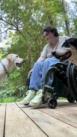 #spinalcordinjury #paraplegic #urostomy #bladderremoval #recovery 