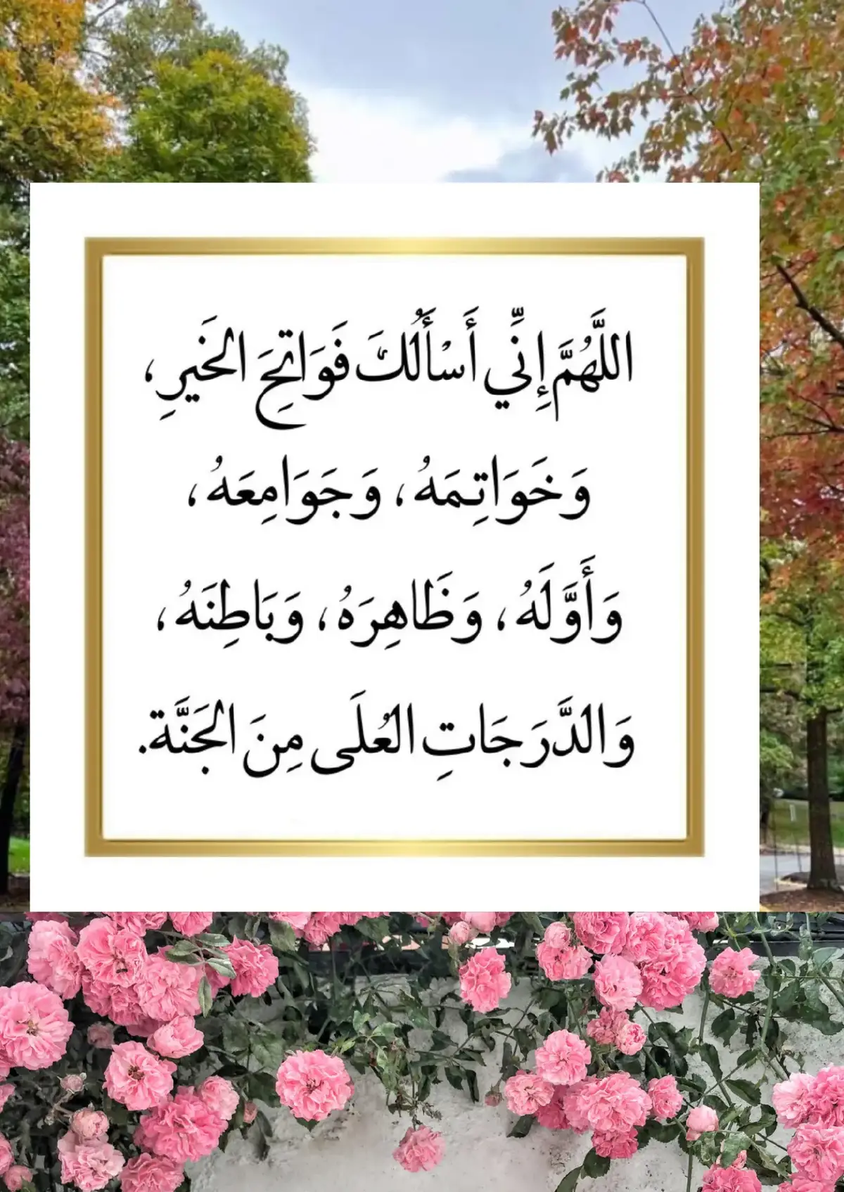 #اللهم إنا نسألك فواتح الخير وخواتمه وجوامعه وأوله وآخره وظاهره وباطنه والدرجات العلى من الجنة، اللهم في هذا العام لا تدع لنا أمراً إلا يسرته ولا حلماً إلا حققته، ولا أُمنية إلا أسعدتنا بالعيش في جمال واقعها، ولا دعاء إلا أثلجت صدورنا بقبوله 🤲🏻❤️💚  #