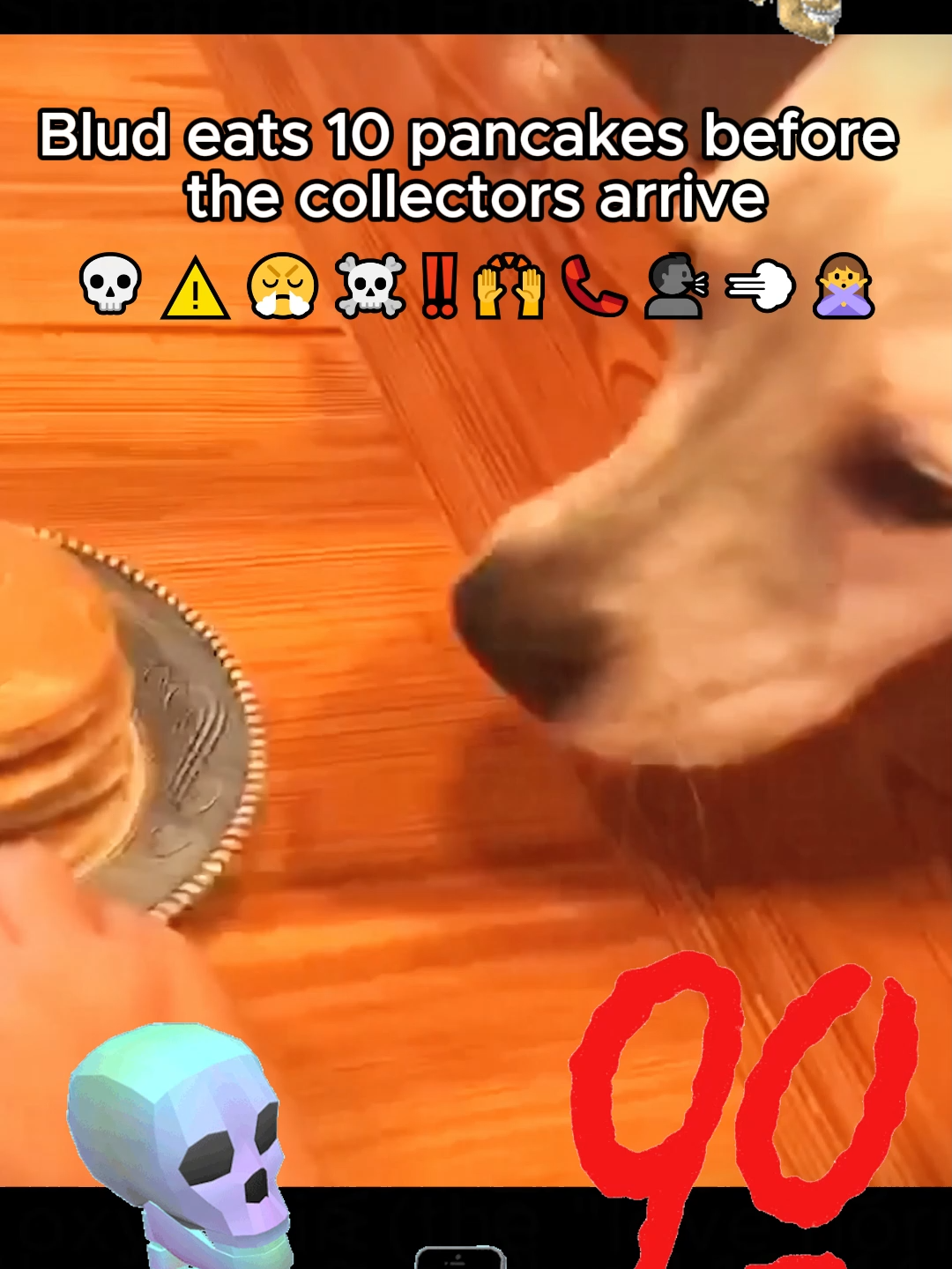 Blud eats 10 #blud #donpollo #dog #ohio #fynny #fyp #viral #foru #donpollo2982