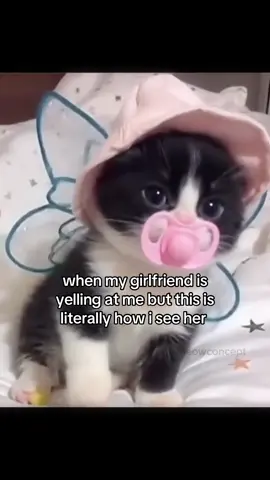 #cat #catsoftiktok #couplecomedy #girlfriend #ilovemygf #real #fyp 