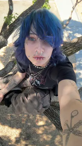 Hair: trash, task: laundry. Welcome to my tree #alternative 