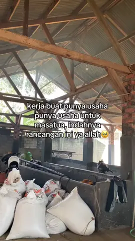 sangat indah#fyp #peternakmuda #peternaksapiindonesia #setiafarm #sobatngaret 
