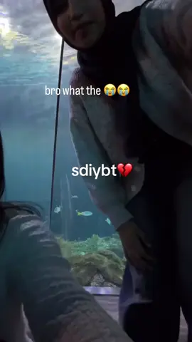 guys i had no idea until @soe meh ♡ྀི showed me the video 😭💔#throwback #throwbackthursday #sdiybt #fyp #heh