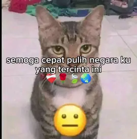 80 tahun merdeka dari negara lain doang🥺 #fyp #indonesia🇮🇩 #sad 