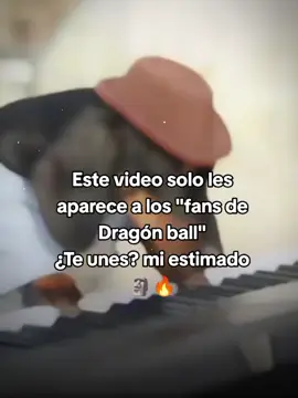 #fans #dragonball #fypシ゚ #virallllllllllllll #good 
