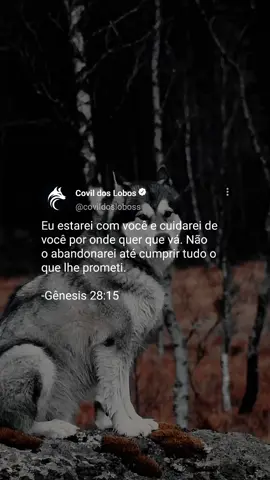 não saia sem deixar seu amém. #covildoslobos #motivacional #reflexão #frasesmotivadoras #frasesbiblicas 