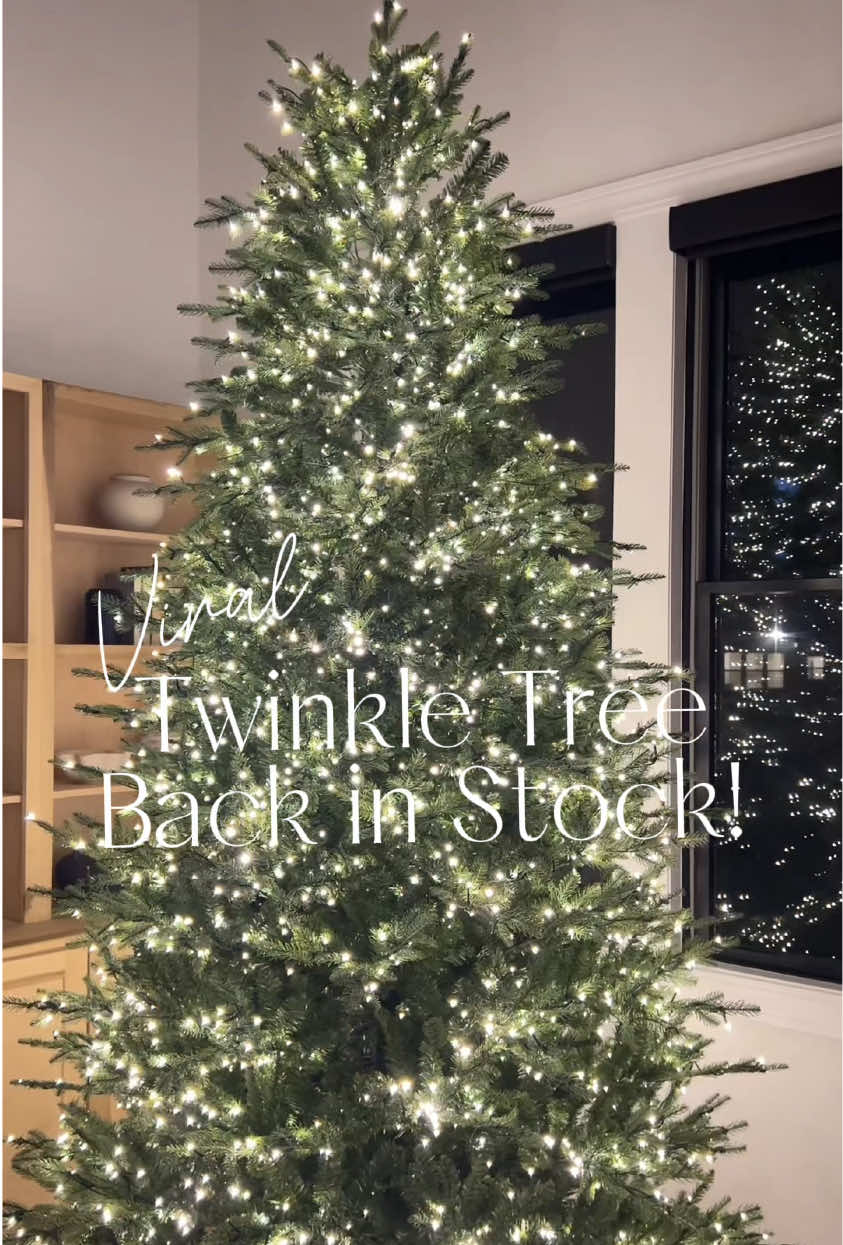 🔗 in bio and comments! The Viral Grand Dutchess Twinke Tree is BACK IN STOCK!! Available in 7.5ft 9ft 12ft 15ft with 9 light functions. It’s totally worth the hype, easy to set up & take down, minimal fluffing required and beautiful twinkle lights ✨ #grandduchess #viraltwinkletree #twinklechristmastree #homedepotchristmastree #christmastree 
