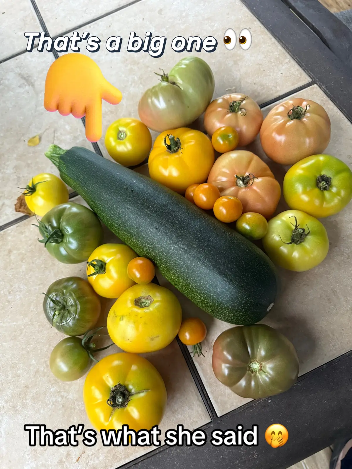 I don’t know how we got here, but tomatoes for everyone! All the time! What are you growing this year? #tomato #garden #vegetablegarden #gardentok  #LIVEwithlowfollowers   