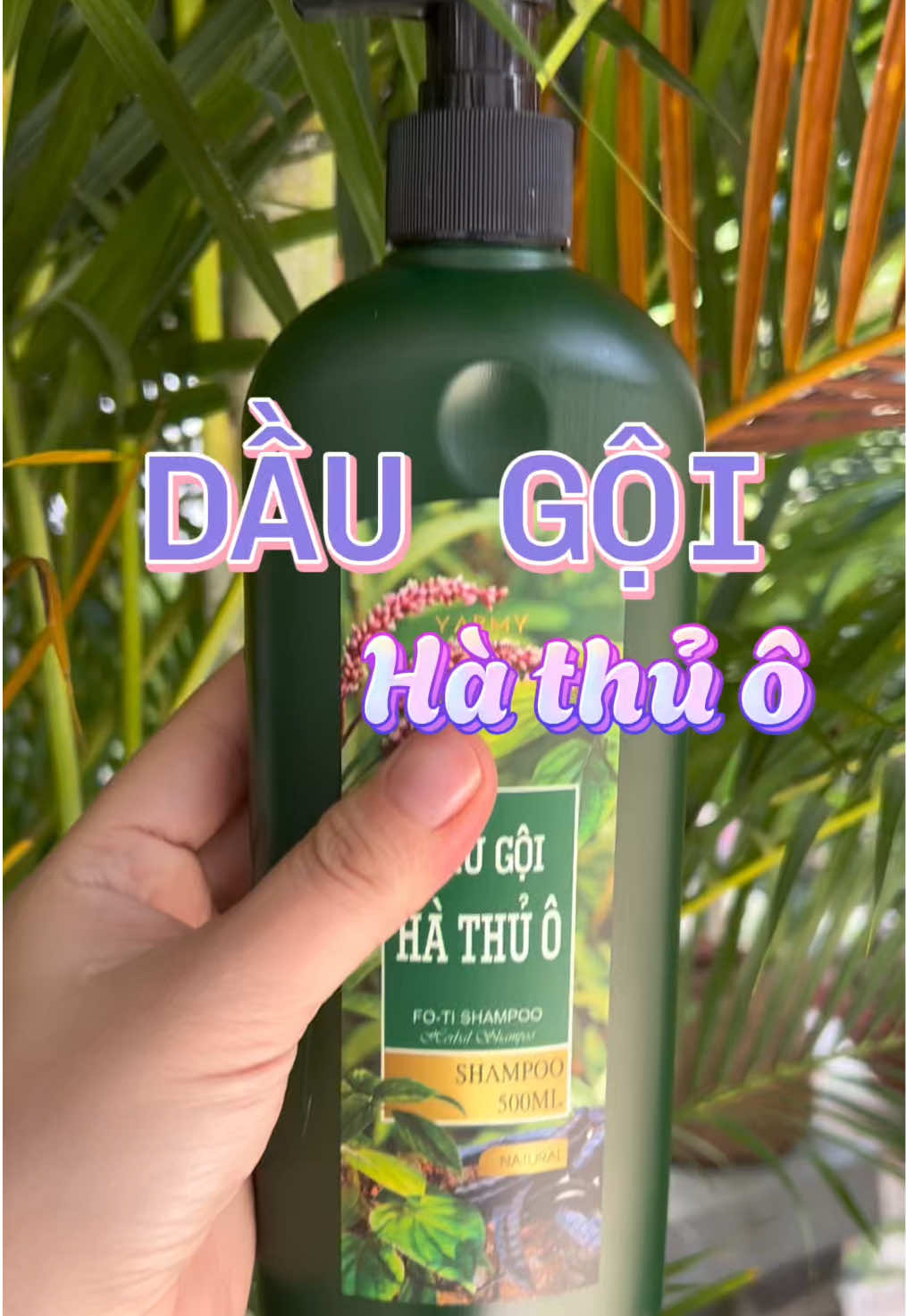 Dầu gội hà thủ ô #taphoamocthuy #daugoithaoduoc #daugoi 